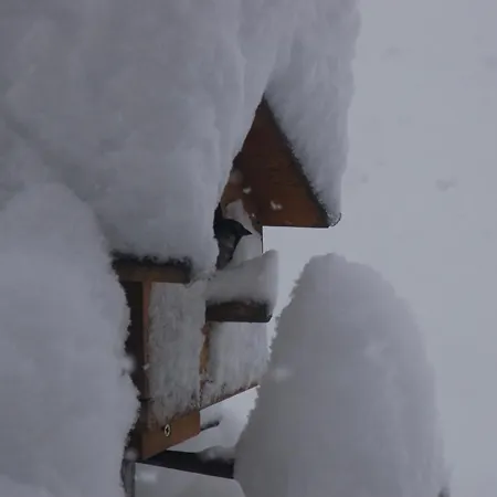 Haus Haas Lermoos