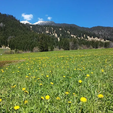 Haus Haas Daire Lermoos