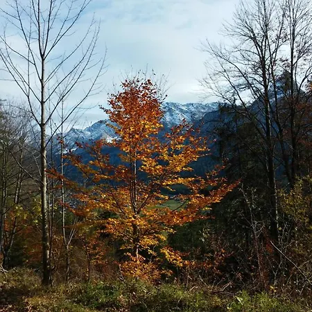 Daire Haus Haas Lermoos