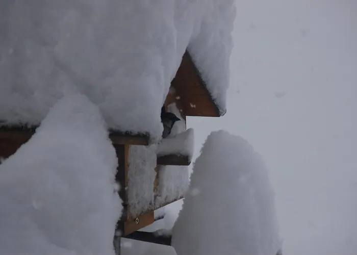 Haus Haas Lermoos