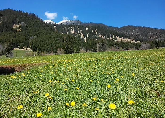 Haus Haas Apartment Lermoos