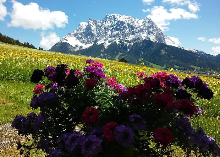 Haus Haas Appartamento