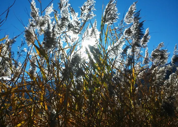 Haus Haas Apartment Lermoos