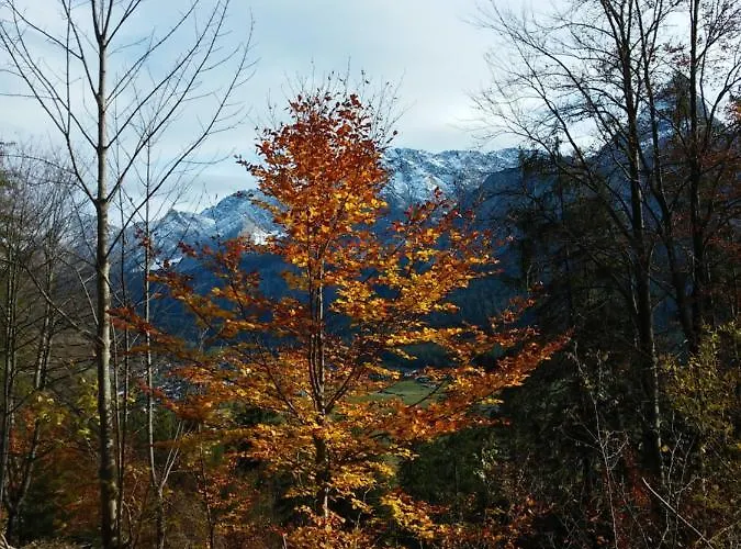 Apartment Haus Haas Lermoos