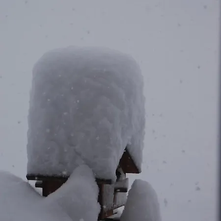 Apartman Haus Haas *