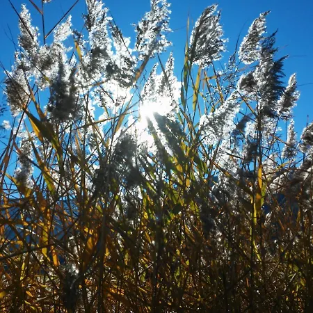 Haus Haas Apartman Lermoos