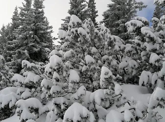 Haus Haas לרמוס