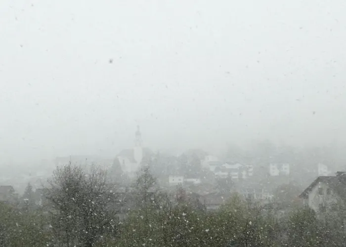 Haus Haas * לרמוס