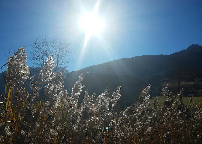 豪斯哈斯酒店 * 莱尔莫斯